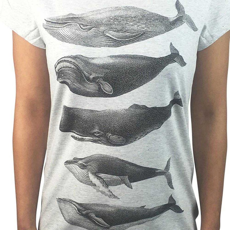 Fashion Monsterthreads Women'S T-Shirts | Whales Grey Marle Womens Tee