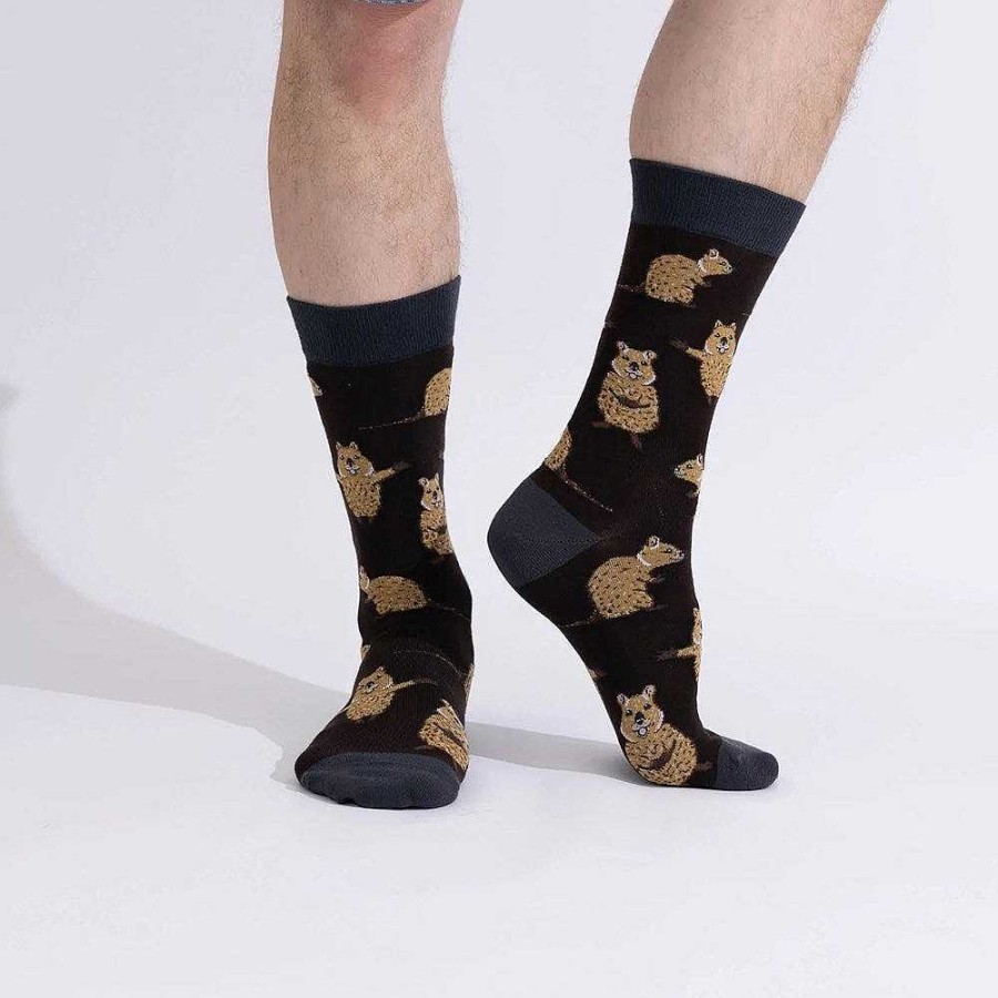 Fashion Spencer Flynn Socks | Spencer Flynn: Mens A Pair Of Quocks Sock