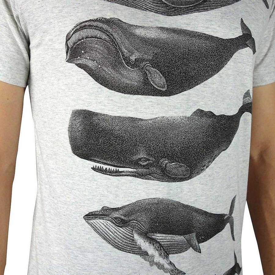 Fashion Monsterthreads Men'S T-Shirts | Whales Grey Marle Mens Tee