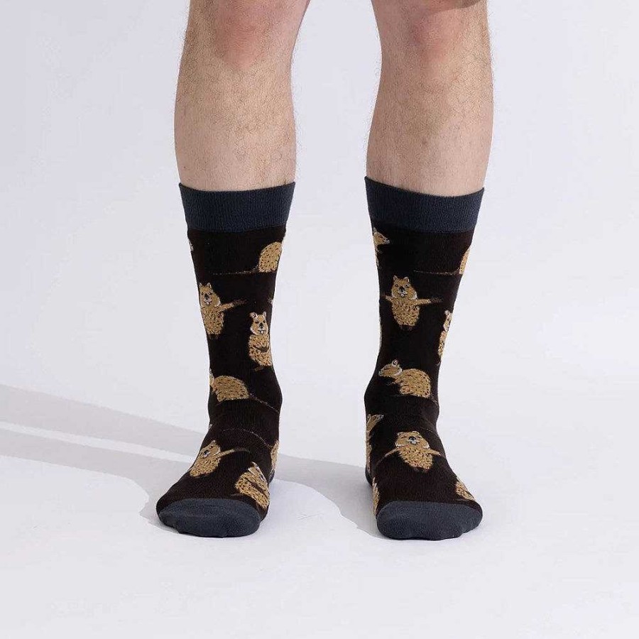 Fashion Spencer Flynn Socks | Spencer Flynn: Mens A Pair Of Quocks Sock