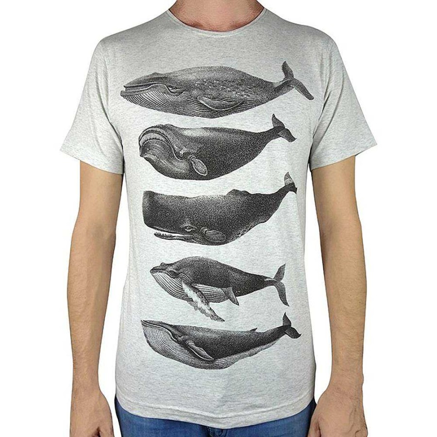 Fashion Monsterthreads Men'S T-Shirts | Whales Grey Marle Mens Tee